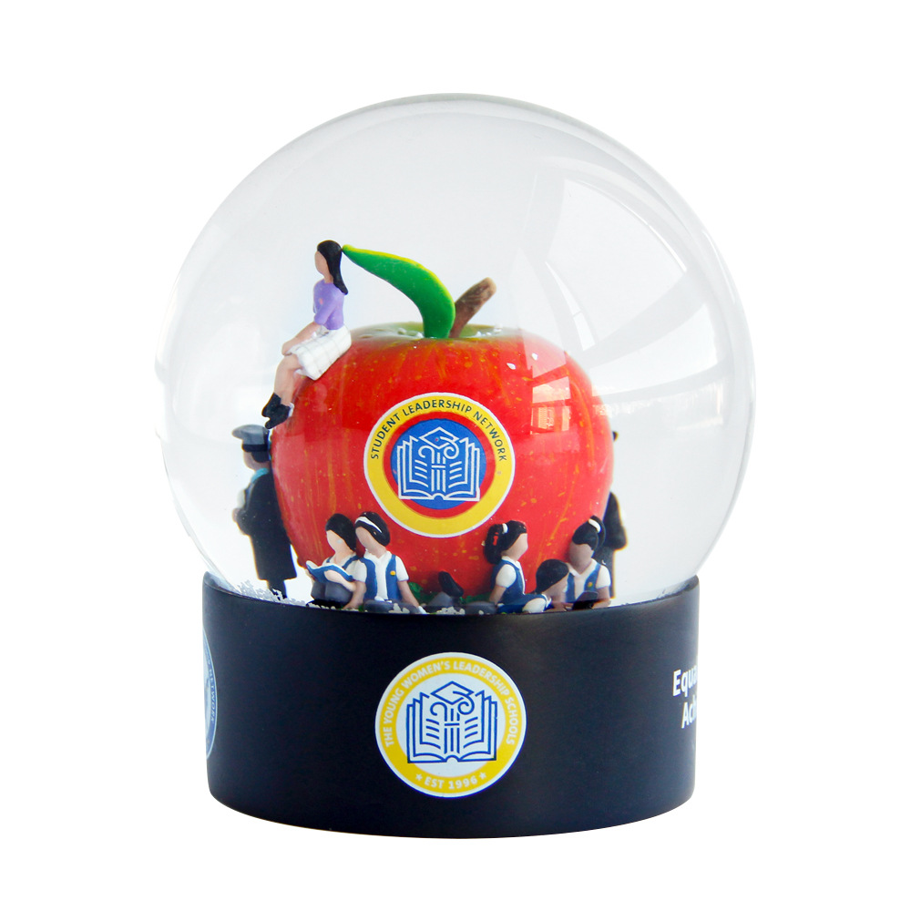 Graduation Party Resin Snow Globe Student Gifts College Souvenirs